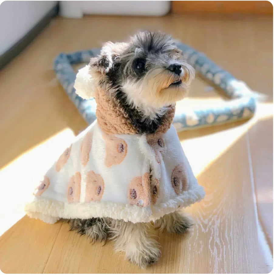 dog bear robe