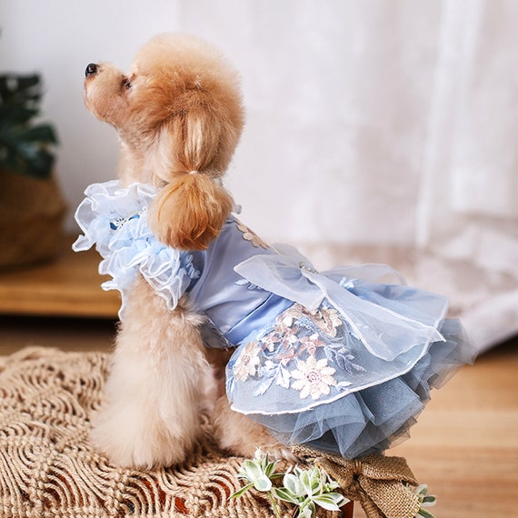 dog dress