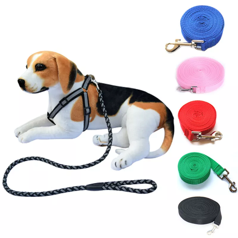 dog rope belt