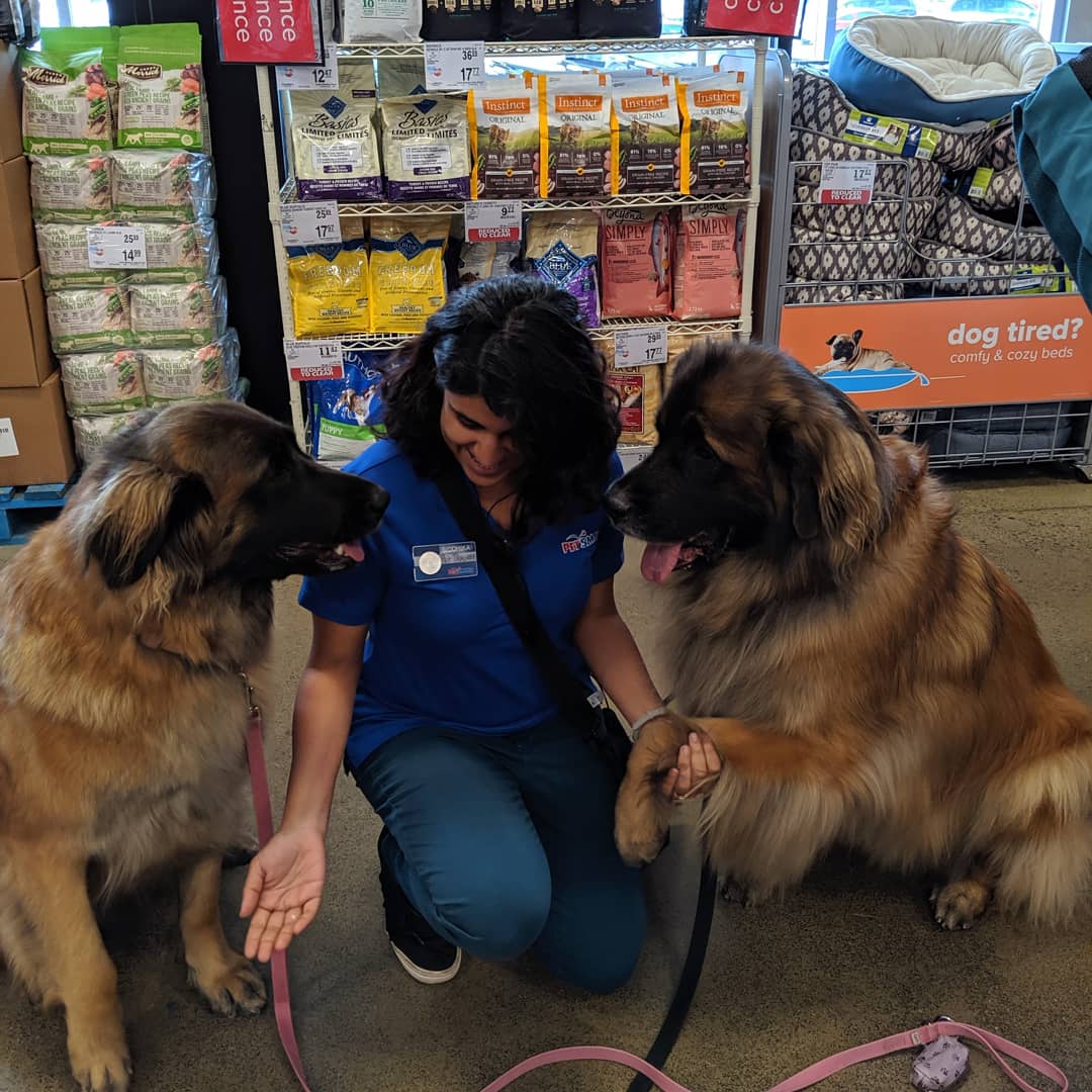 dog trainer petsmart salary