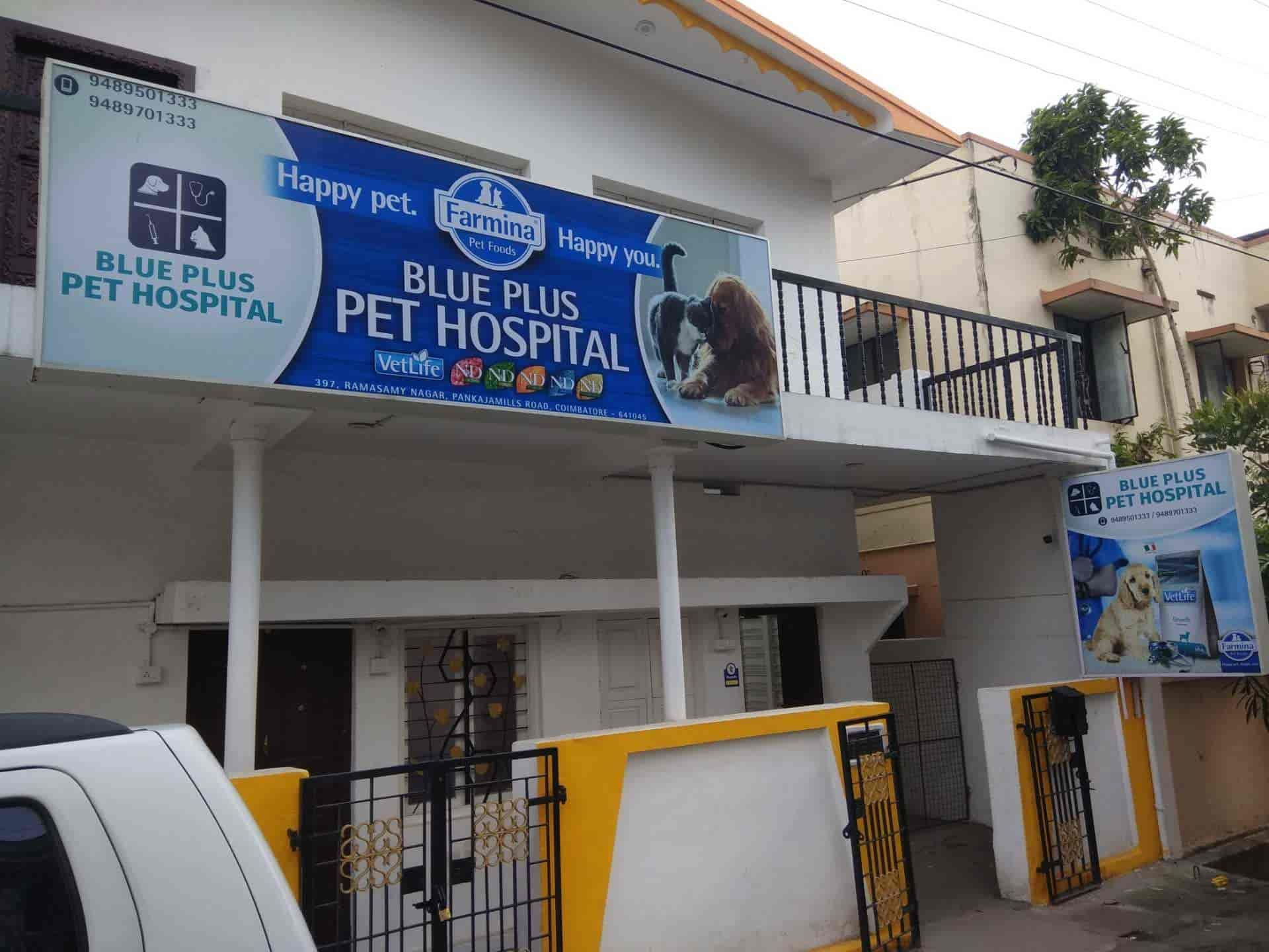 dog veterinary hospital near me