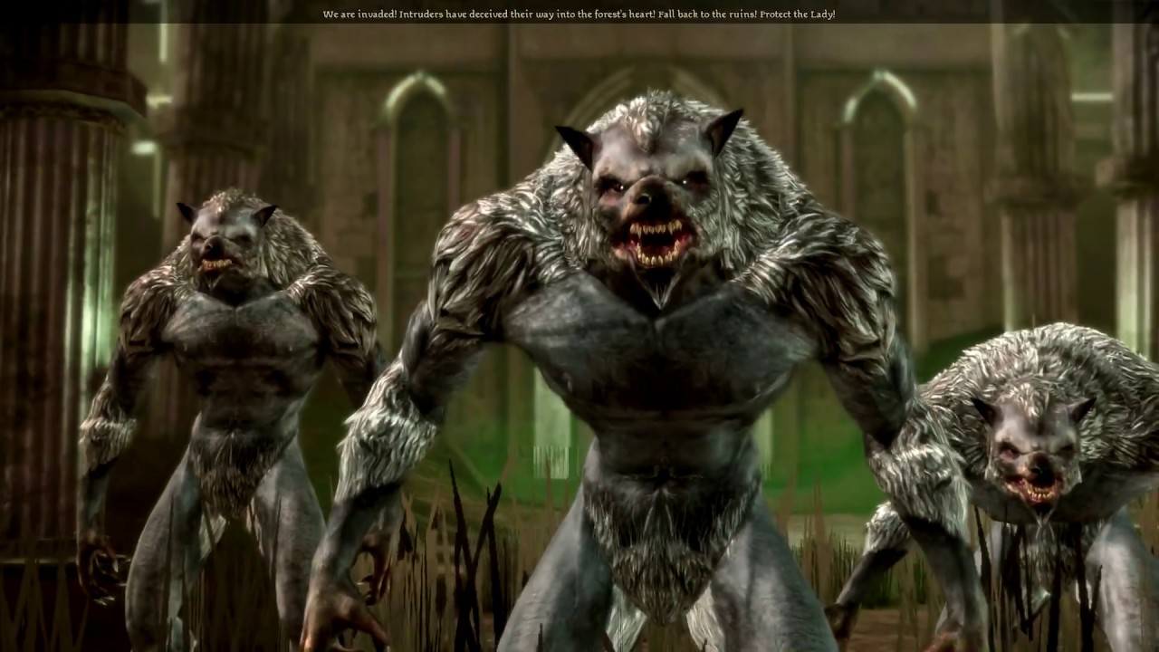 dragon age origins werewolf