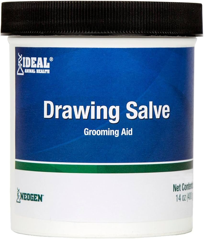 drawing salve amazon