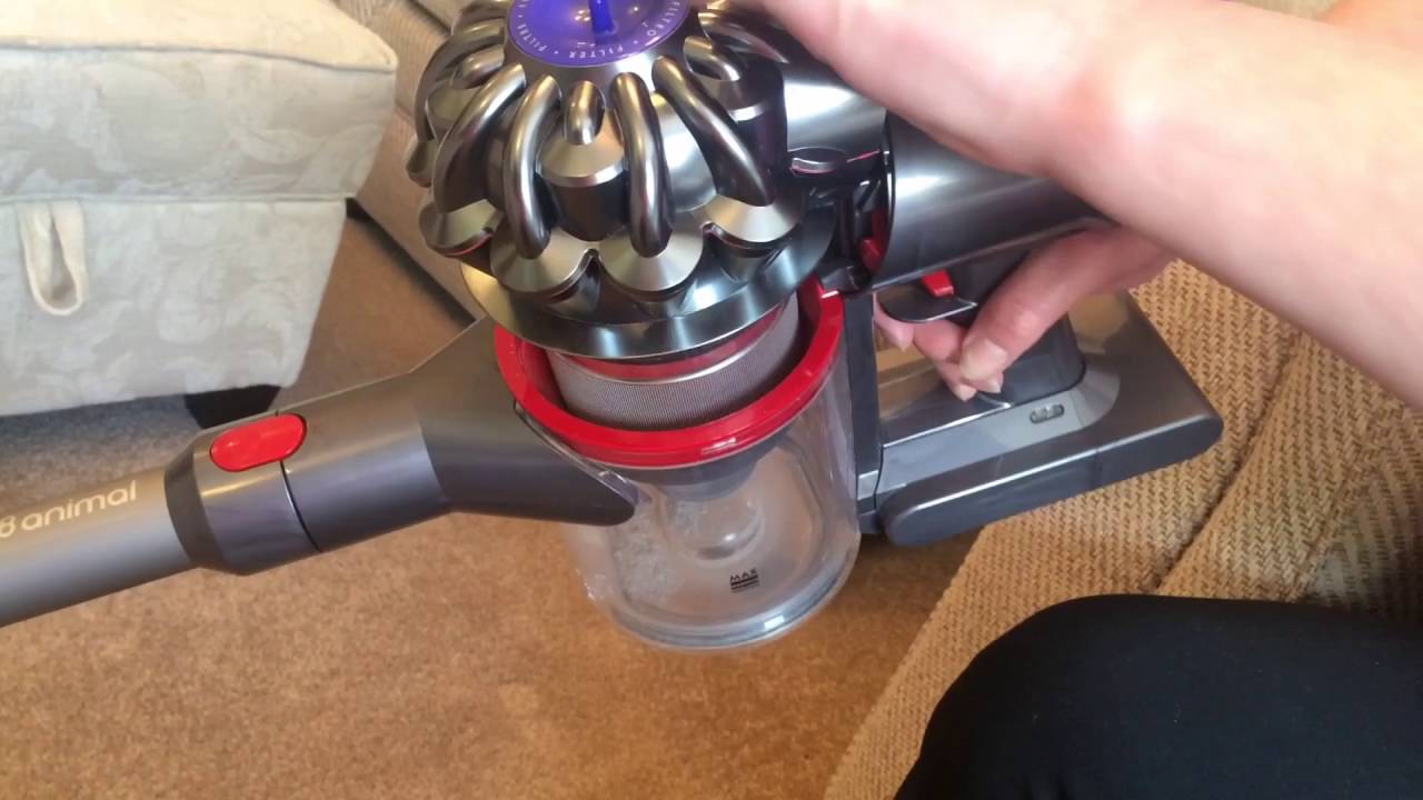 dyson v8 animal review