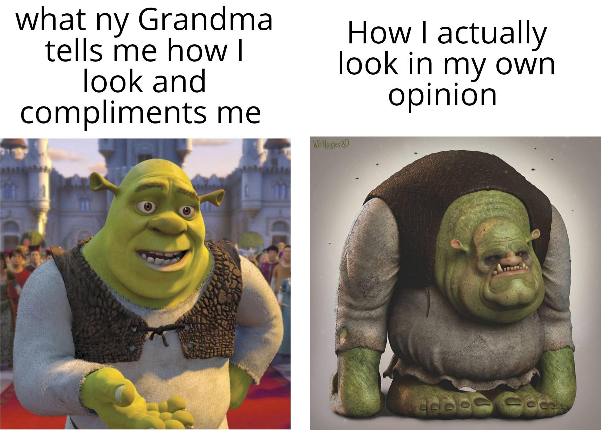 shrek memes