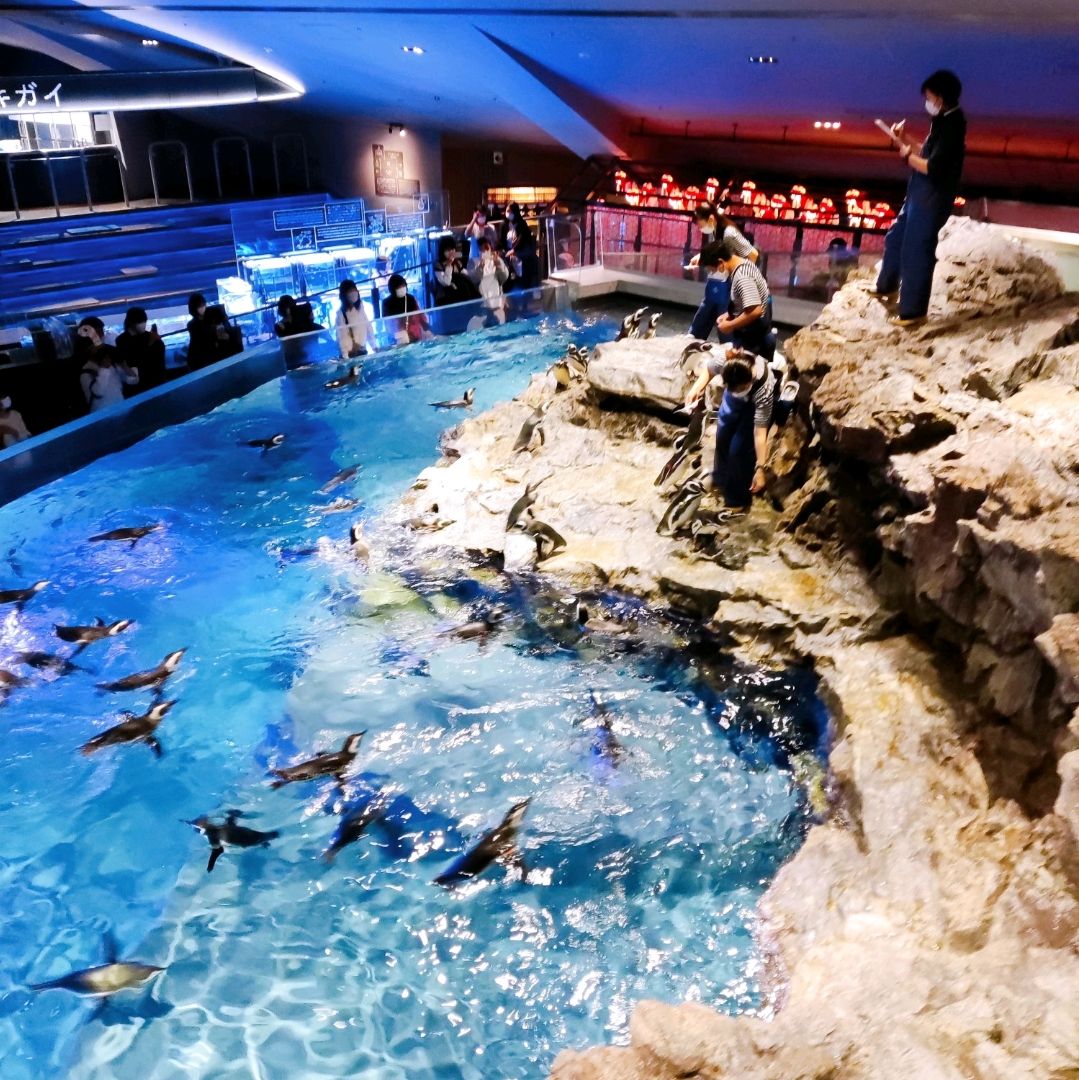 sumida aquarium ticket price