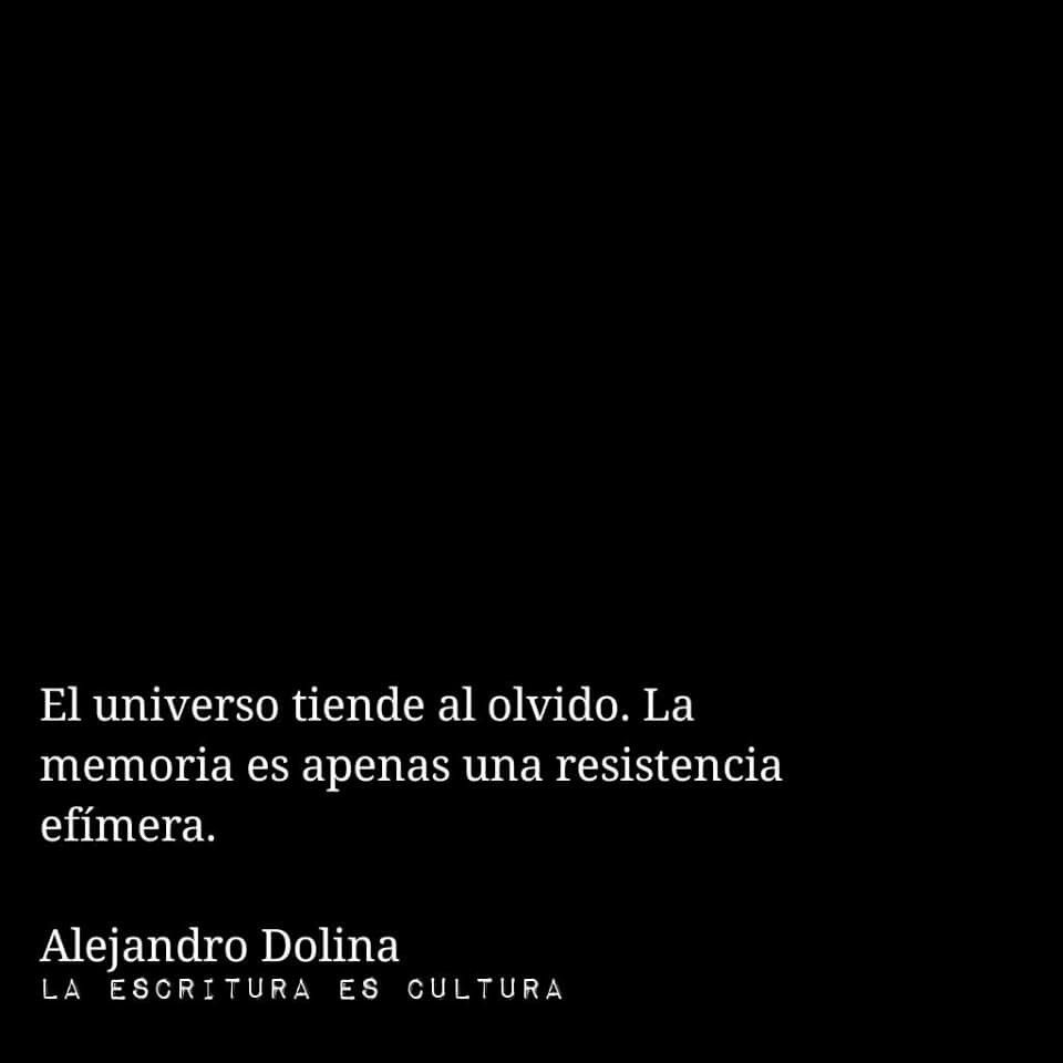 frases de dolina