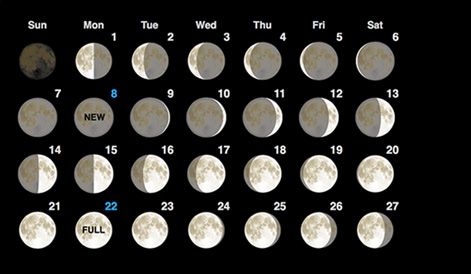 moon cycle today