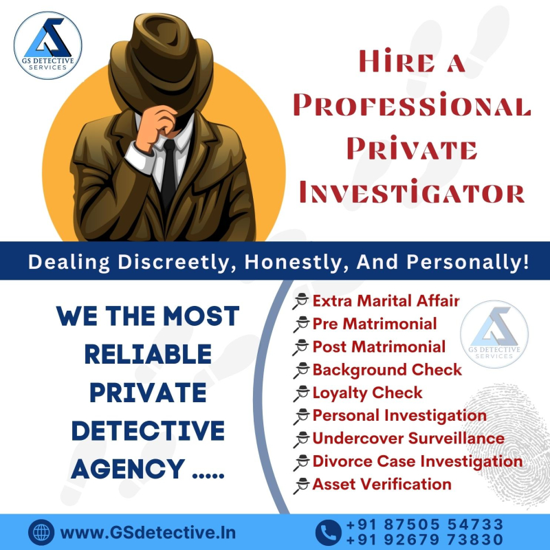 detective agency in delhi price