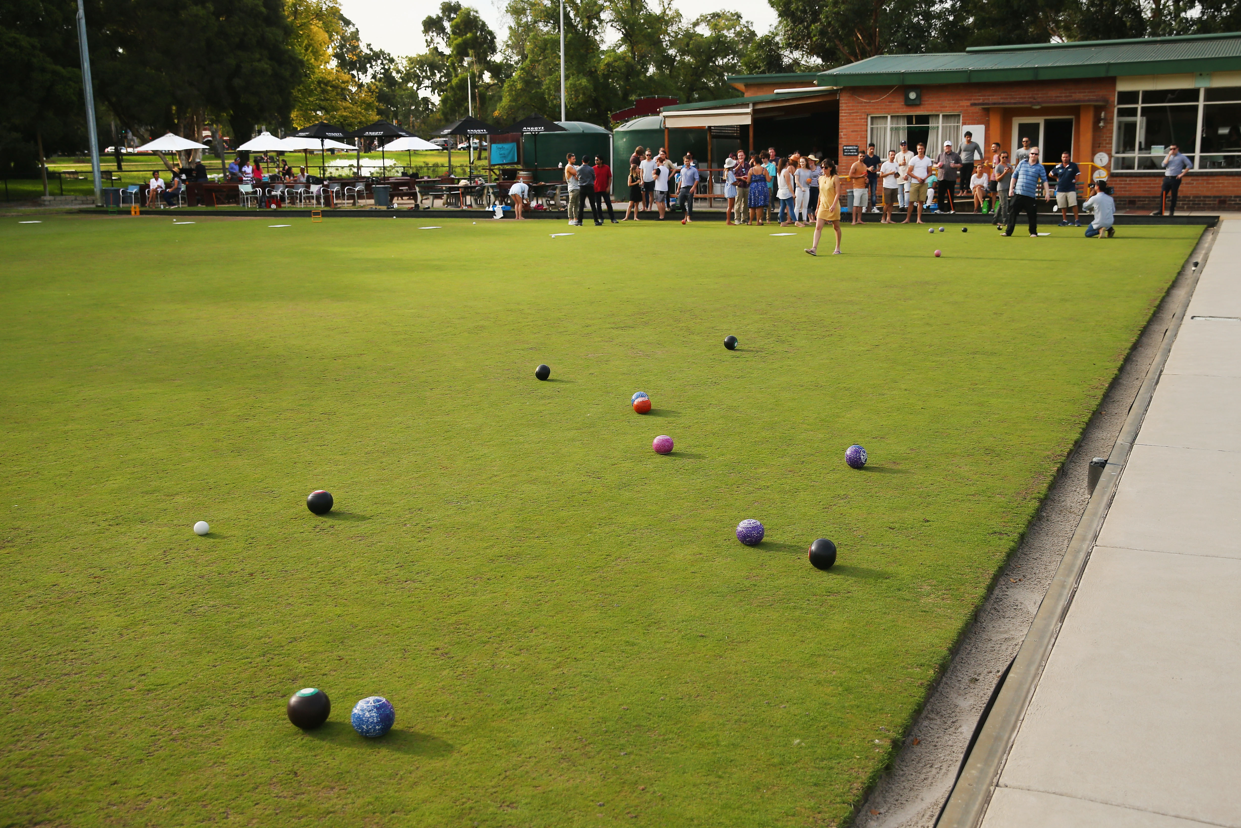 lawn bowls photos pictures