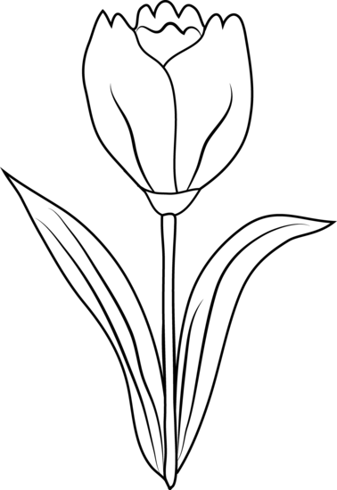 tulip clipart black and white