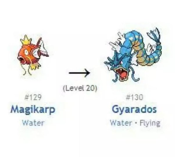 how to evolve magikarp