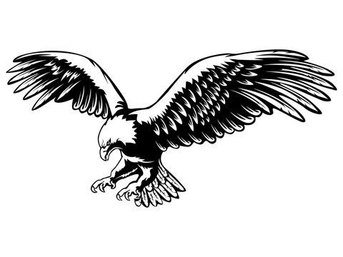 eagle vector art