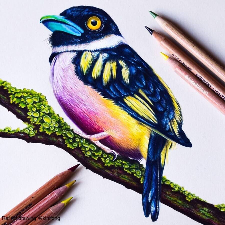 easy colored pencil drawings of animals