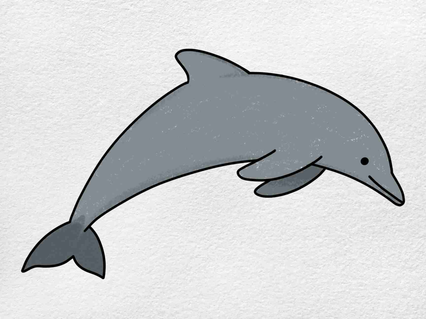 easy to draw dolphin