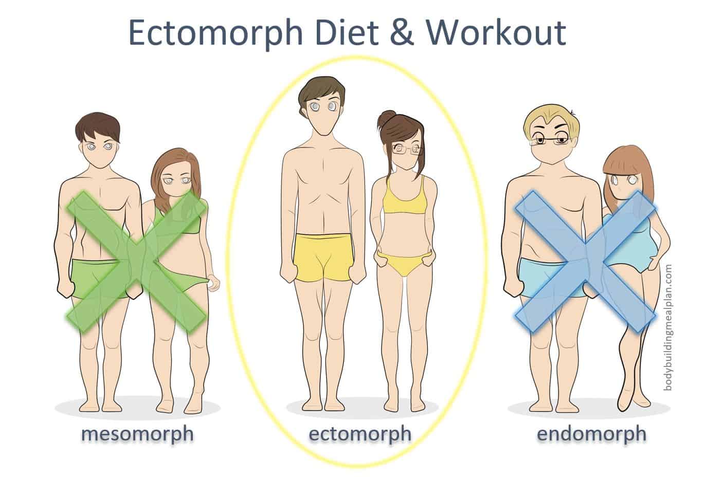 ectomorph diet and workout plan