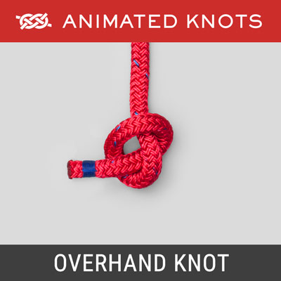 animated knots