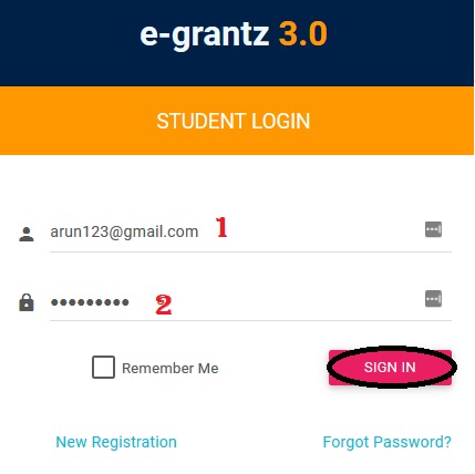 egrants 3.0 track application