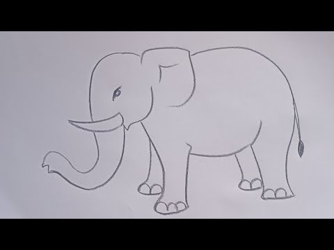 elephant drawing easy