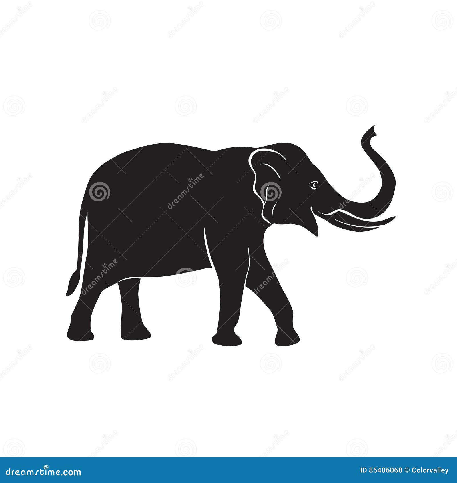 elephant vector image