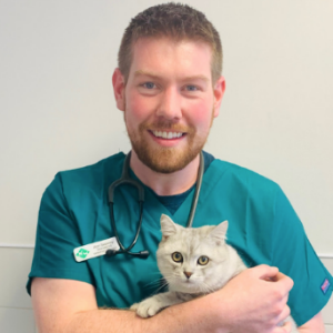 emergency vet streatham