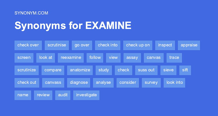 examine synoym