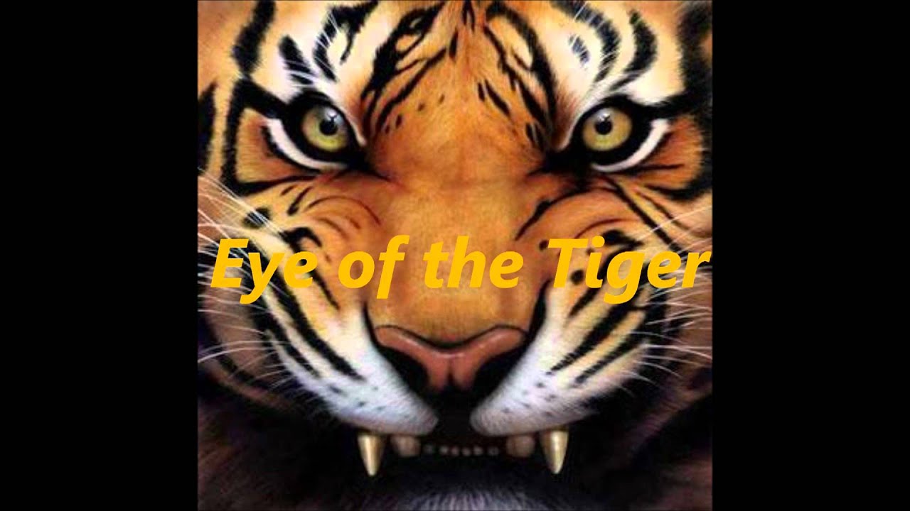 eye of the tiger yt