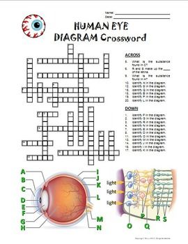 eyeball parts crossword clue