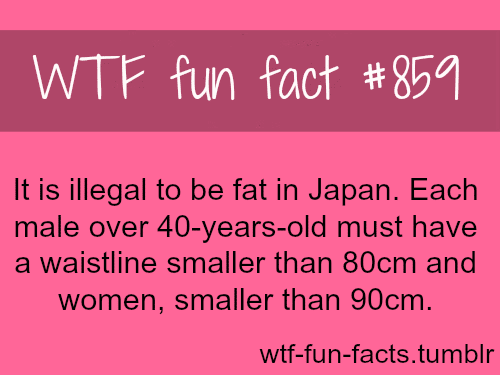 wtf fun facts tumblr