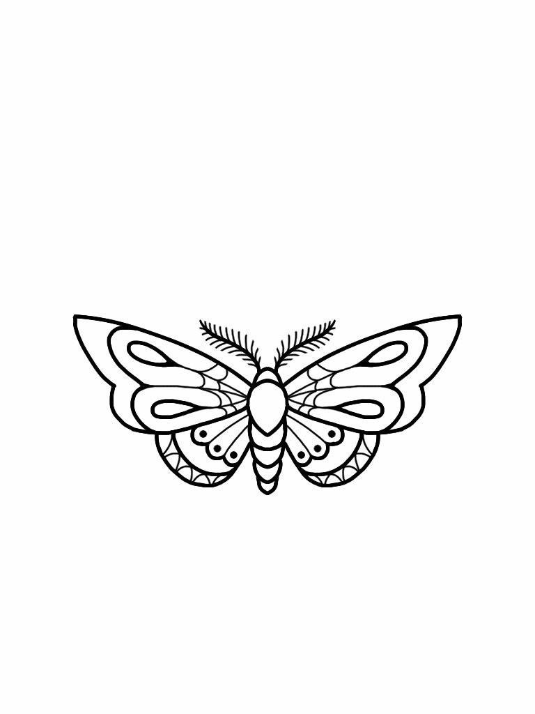 simple moth tattoo