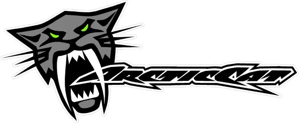 arctic cat decals