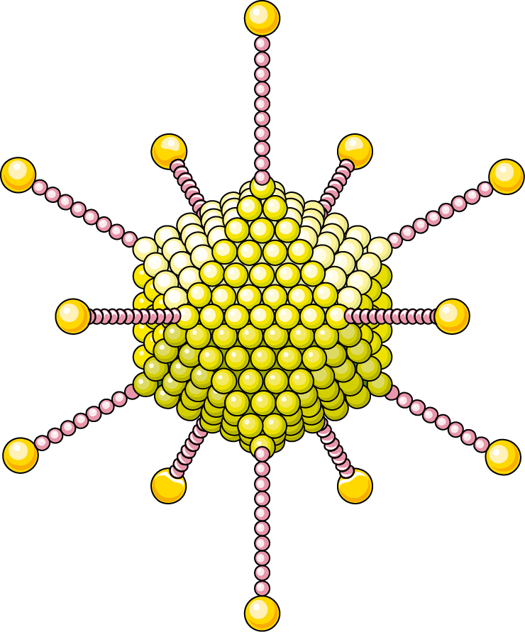 adenovirus gif