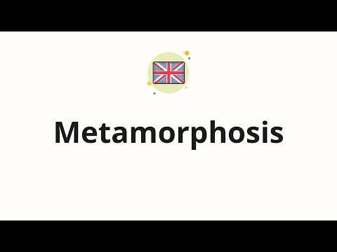 how to pronounce metamorphosis