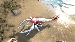 eurypterid ark