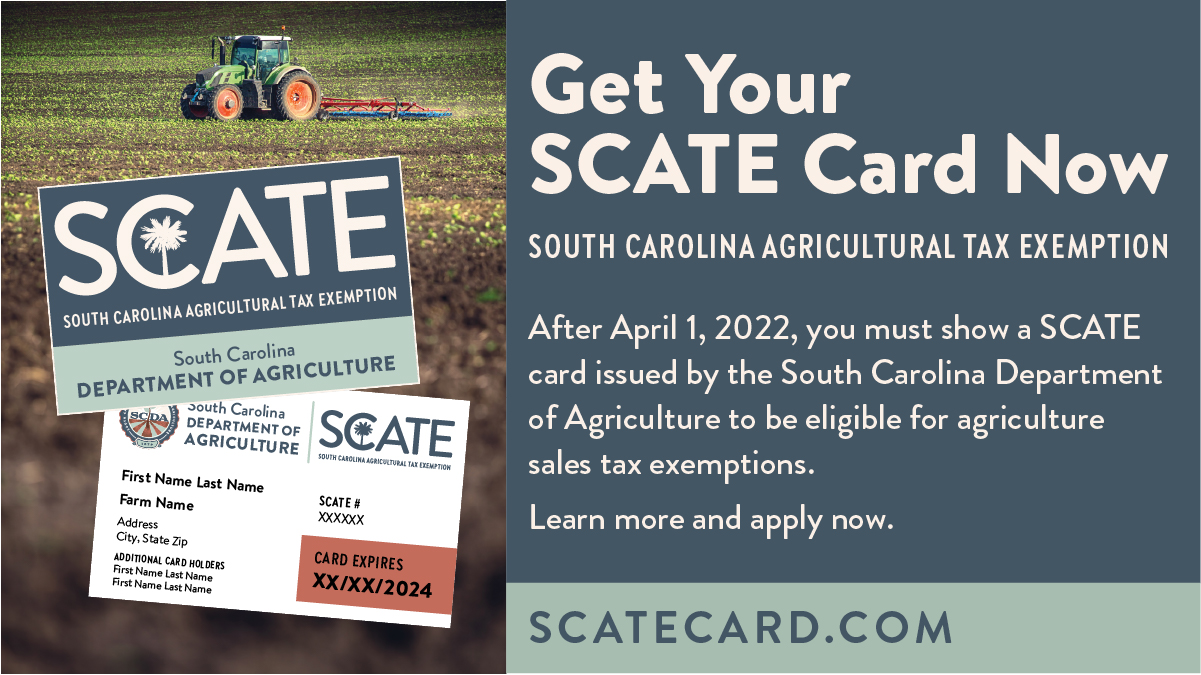 scate card application