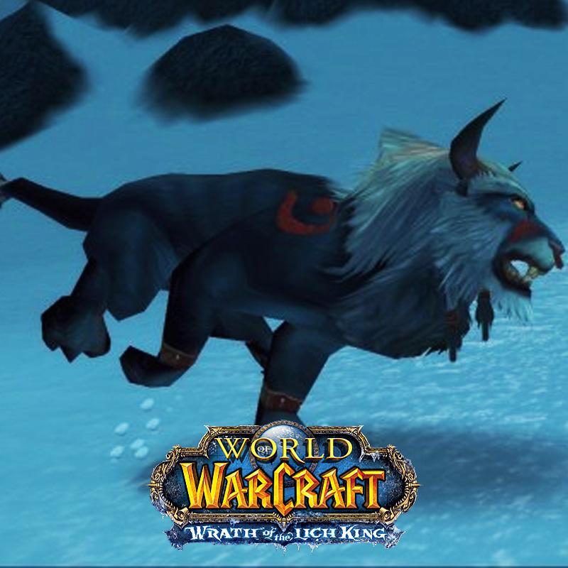 feral wotlk