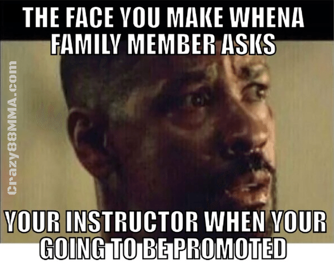 bjj memes