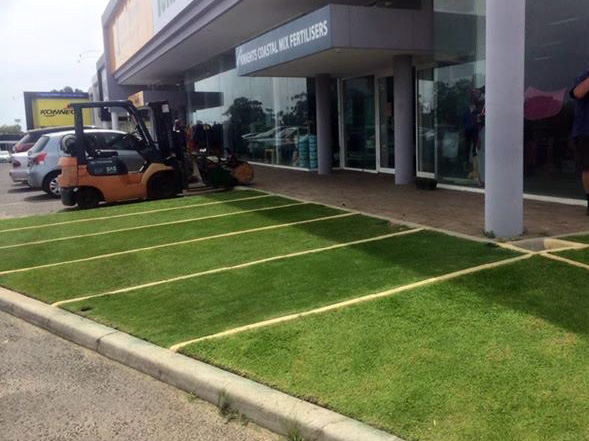 lawn shop wangara