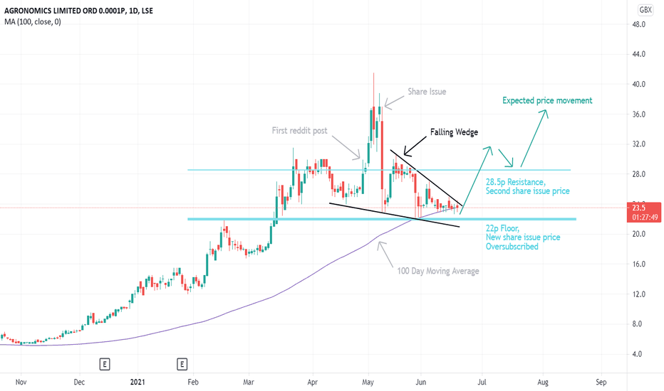 anic share price