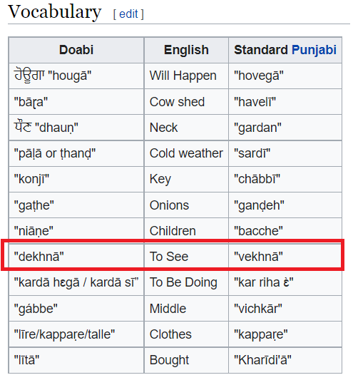 undergo meaning in punjabi