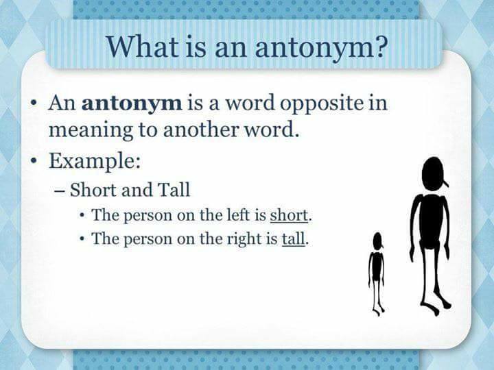 what the antonym