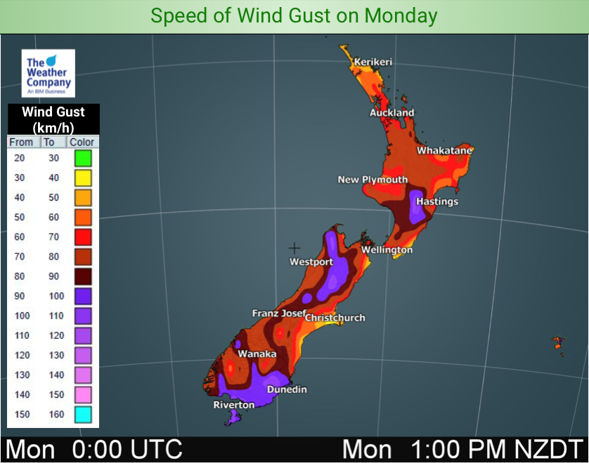 weather forecast in auckland new zealand