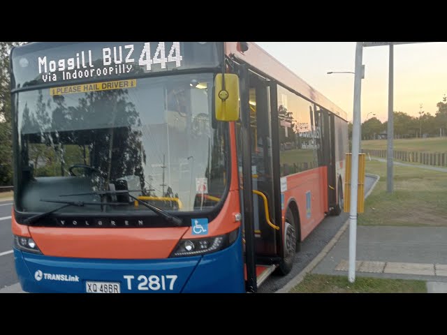 bus route 444 brisbane