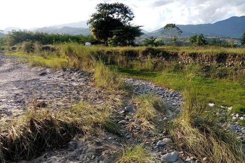 farm land for sale in nueva vizcaya