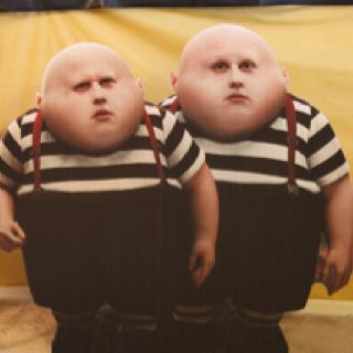 fat twins alice and wonderland