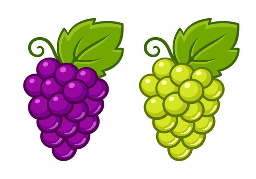 grape cartoon