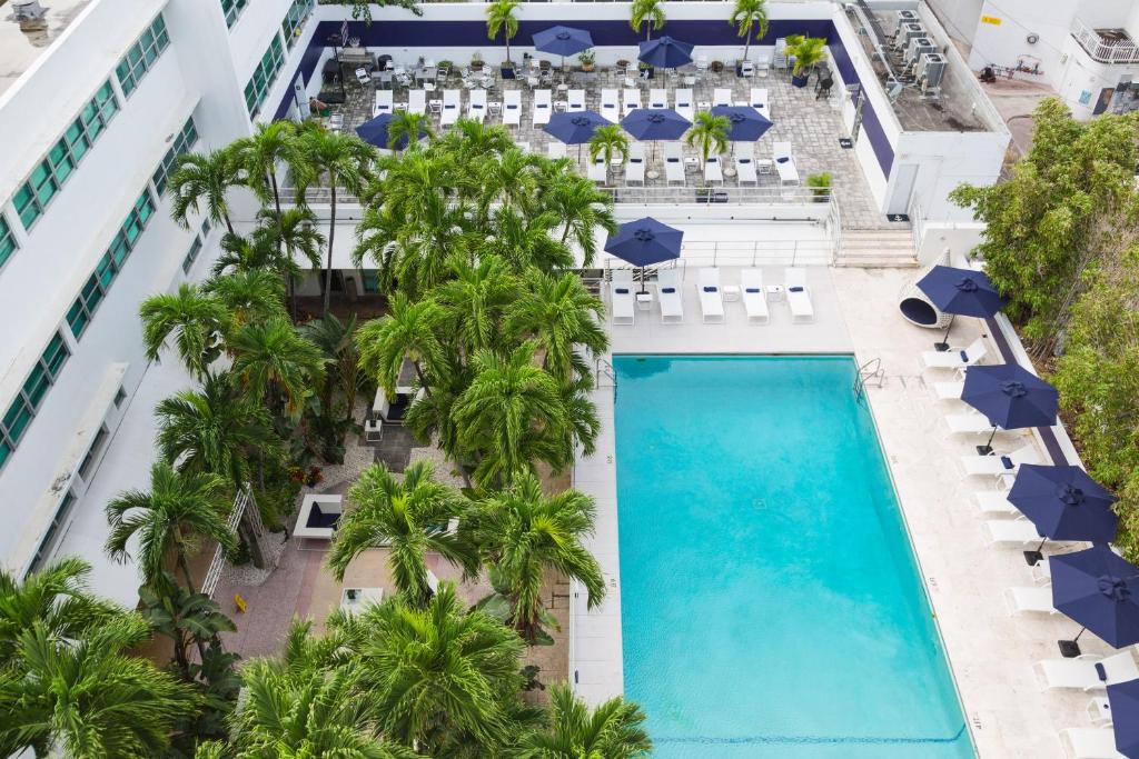 albion south beach miami