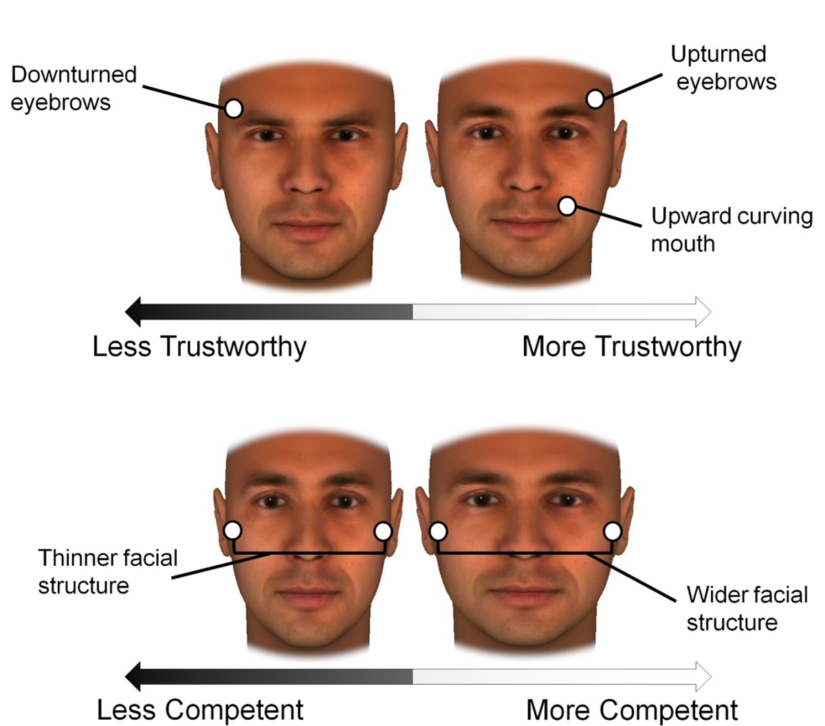 slavic facial features