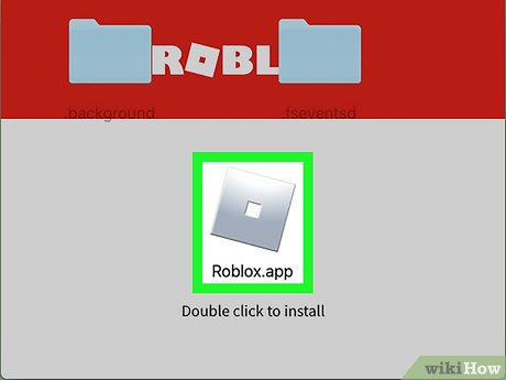 roblox dmg