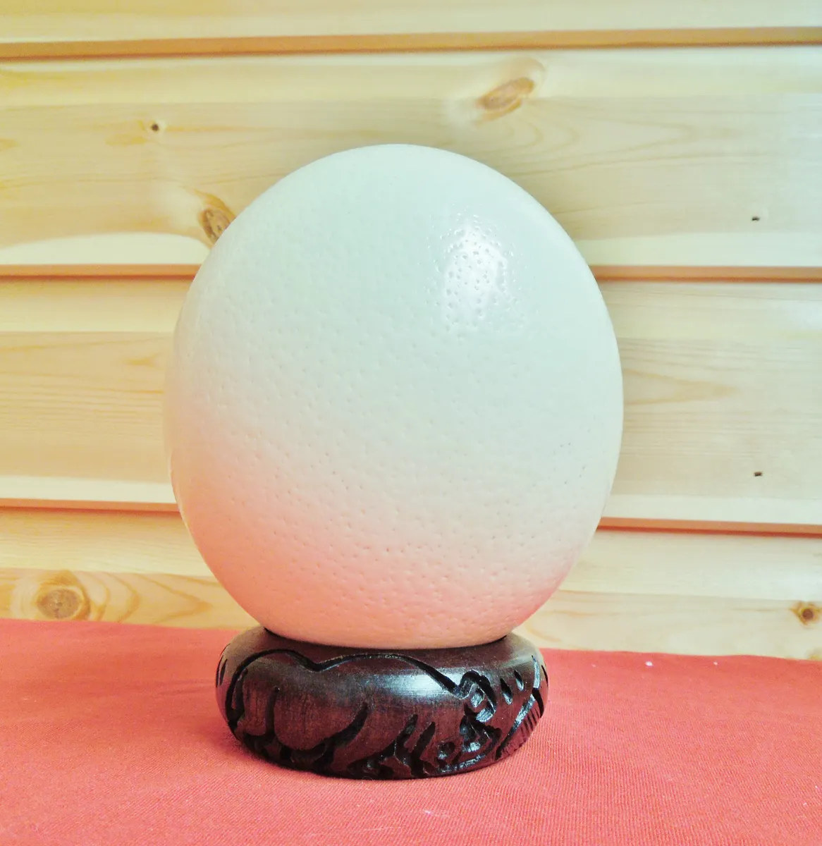 buy ostrich egg uk